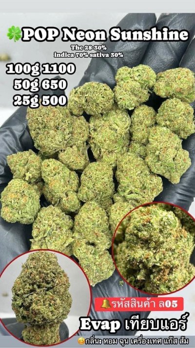 อีแวปสาขาปากน้ำชุดโปร