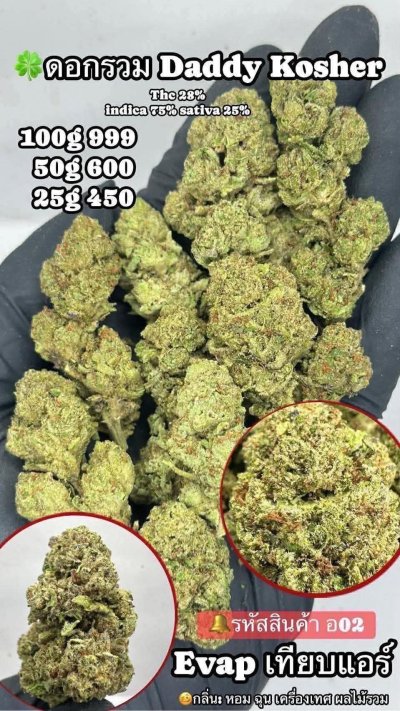 อีแวปสาขาปากน้ำชุดโปร