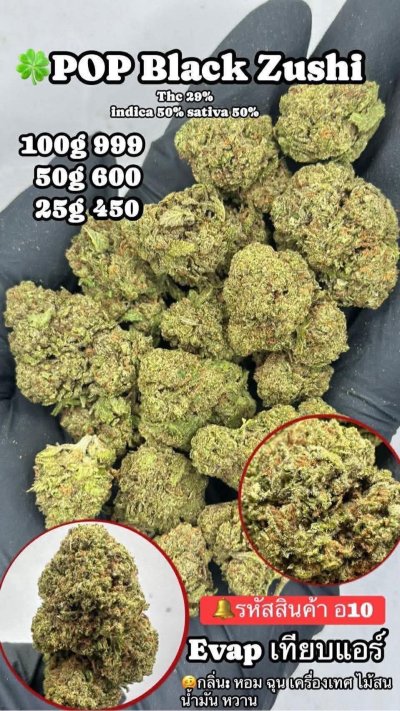 อีแวปสาขาปากน้ำชุดโปร