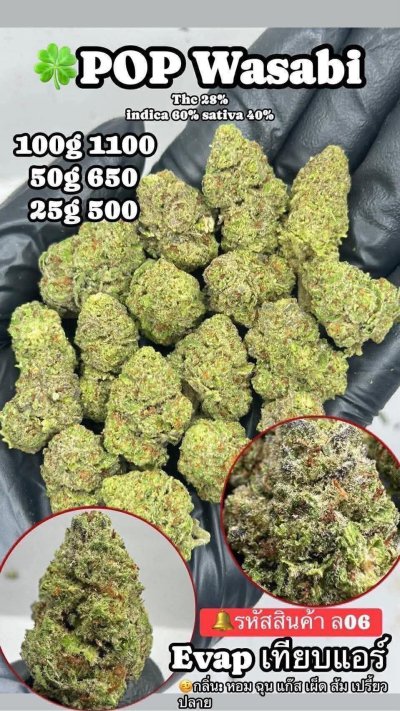 อีแวปสาขาปากน้ำชุดโปร