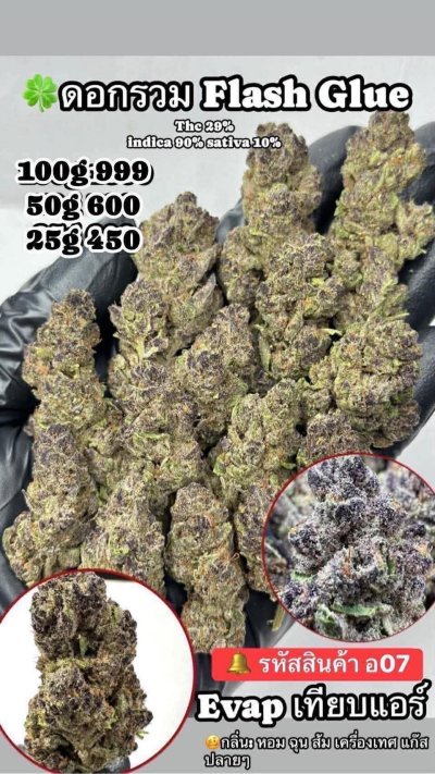 อีแวปสาขาปากน้ำชุดโปร