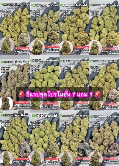 อีแวปสาขาปากน้ำชุดโปร