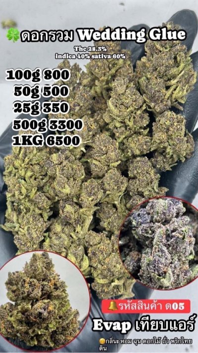 อีแวปสาขาปากน้ำขชุดโปร