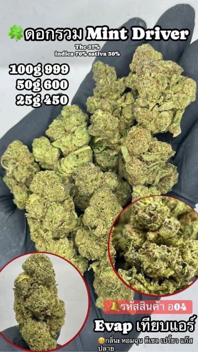 อีแวปสาขาปากน้ำขชุดโปร