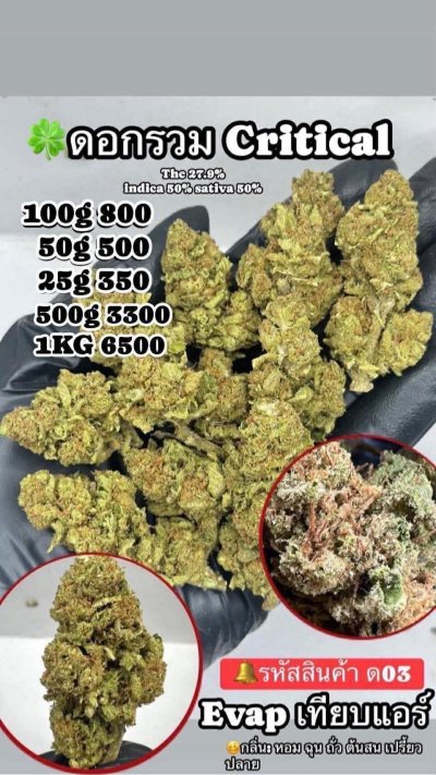 อีแวปสาขาปากน้ำขชุดโปร