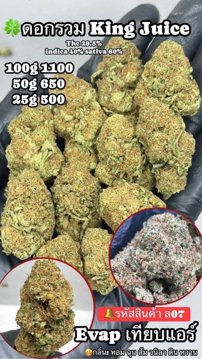 อีแวปสาขาปากน้ำขชุดโปร