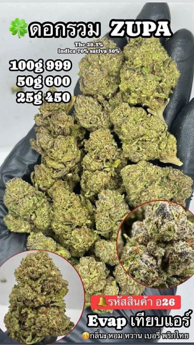 อีแวปสาขาปากน้ำขชุดโปร