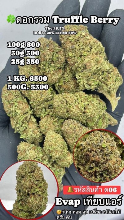 อีแวปสาขาปากน้ำขชุดโปร