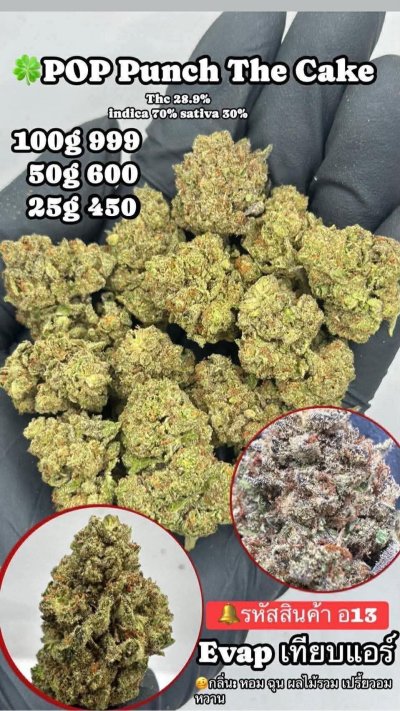 อีแวปสาขาปากน้ำขชุดโปร