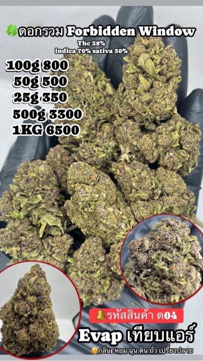 อีแวปสาขาปากน้ำขชุดโปร