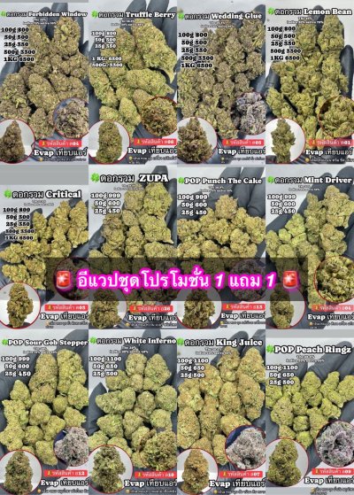 อีแวปสาขาปากน้ำขชุดโปร