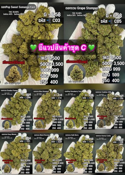 อีแวปสินค้าชุด C