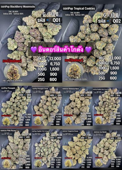 อินดอร์สาขาในเมือง