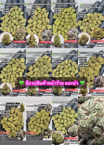 อีแวปสาขาปากน้ำขายดี ถูก