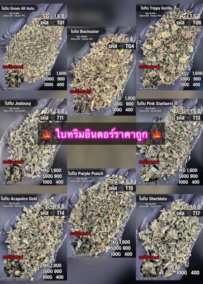ใบทริมสินค้าชุด T