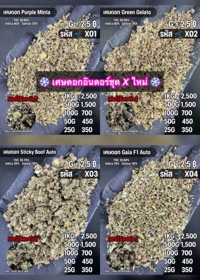 เศษดอกอินดอร์