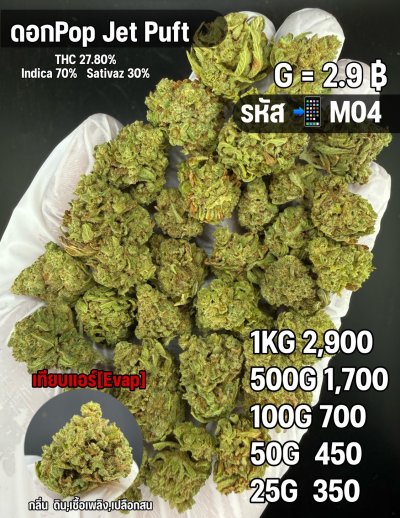 อีแวปสินค้าชุด M [ ใหม่ ]