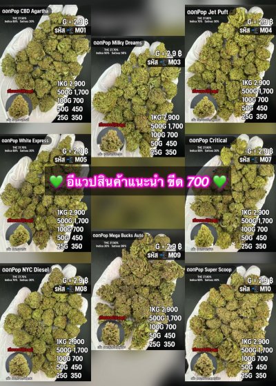 อีแวปสินค้าชุด M [ ใหม่ ]