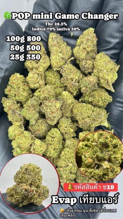 อีแวปสินค้าใหม่ ปากน้ำ