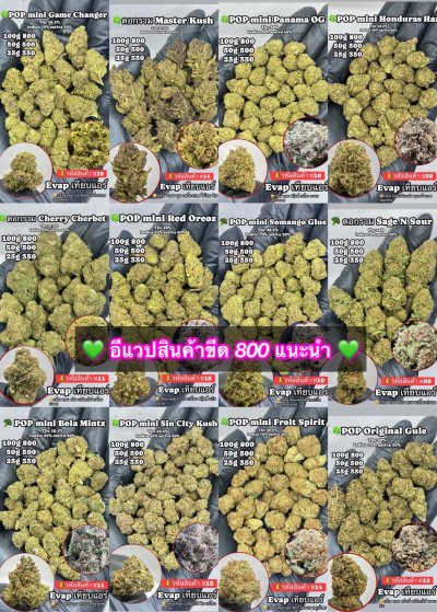 อีแวปสินค้าใหม่ ปากน้ำ