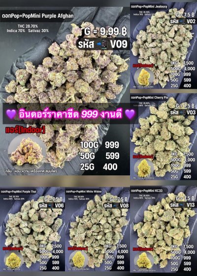 อินดอร์ขีดราคาถูกสุด 999