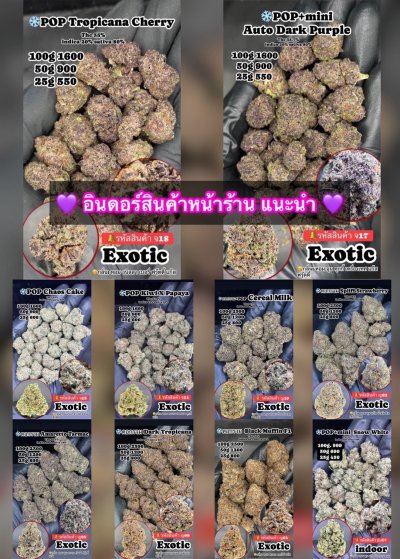 อินดอร์สาขาปากน้ำ งานขายดี