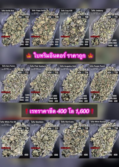 ใบทริมสินค้าชุด T