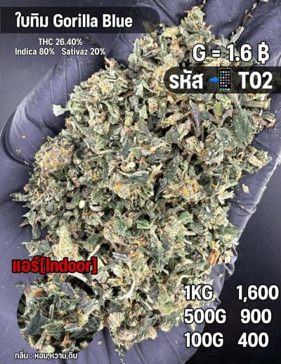 ใบทริมสินค้าชุด T