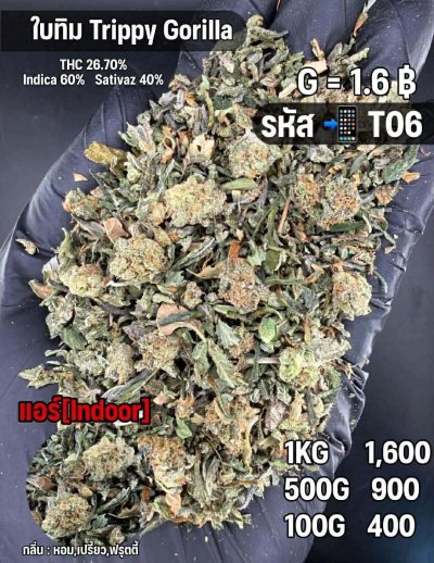 ใบทริมสินค้าชุด T