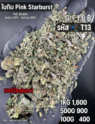 ใบทริมสินค้าชุด T