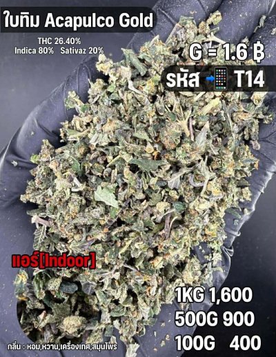 ใบทริมสินค้าชุด T