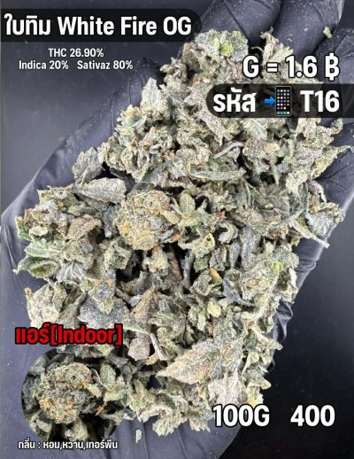 ใบทริมสินค้าชุด T