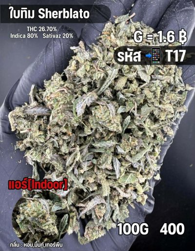 ใบทริมสินค้าชุด T