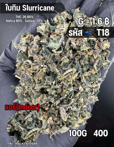 ใบทริมสินค้าชุด T