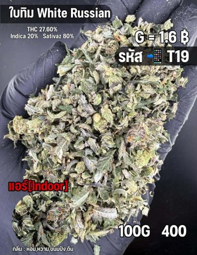 ใบทริมสินค้าชุด T