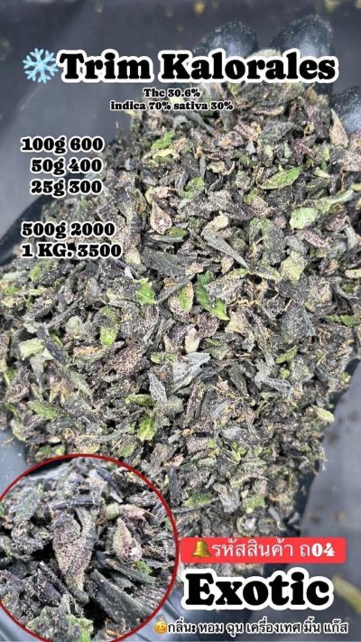 ใบทริมสาขาปากน้ำ