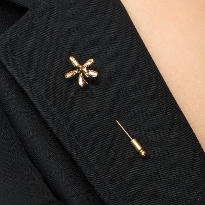 Gold-Plated Trichoglottis cirrhifera orchid Stick Pins
