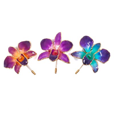 Clear-Coated & Gold Edges Dendrobium Orchid Stick Pins