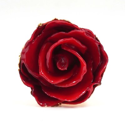 Gold-Plated Valentine Rose Stem