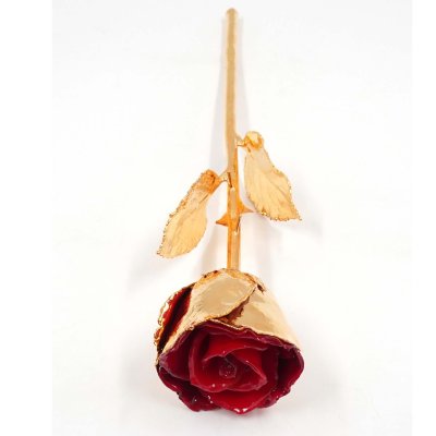 Gold-Plated Valentine Rose Stem