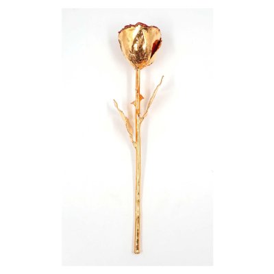 Gold-Plated Valentine Rose Stem