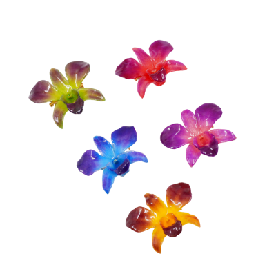 Clear-coated Dendrobium Orchid Brooch