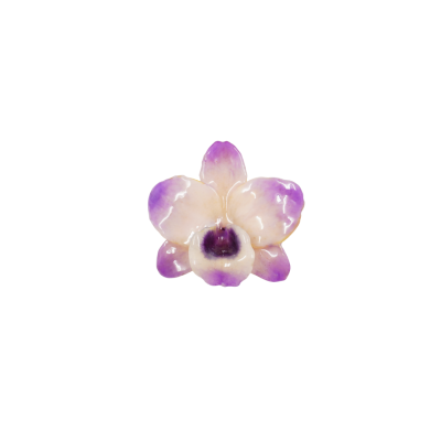 Clear-coated Dendrobium Nobile Orchid Brooch