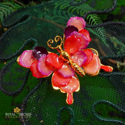 Clear-coated rose petel flower butterfly  brooch