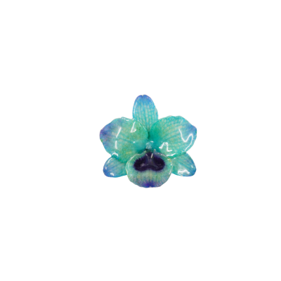 Clear-coated Dendrobium Nobile Orchid Brooch
