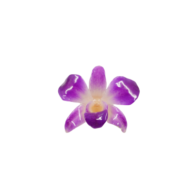 Clear-coated Dendrobium Orchid Brooch