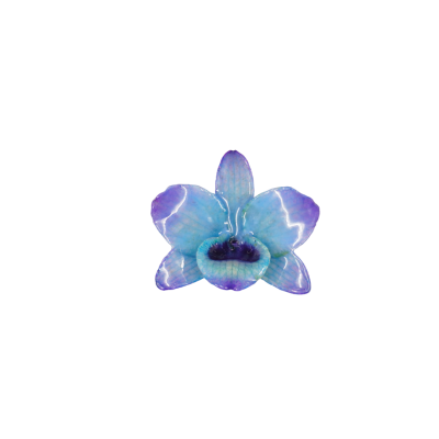 Clear-coated Dendrobium Nobile Orchid Brooch