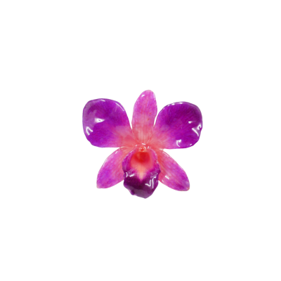 Clear-coated Dendrobium Orchid Brooch
