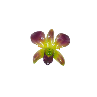 Clear-coated Dendrobium Orchid Brooch