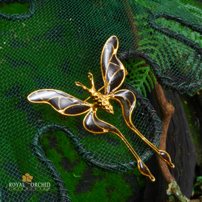 Art Deco " Butterfly Brooch "